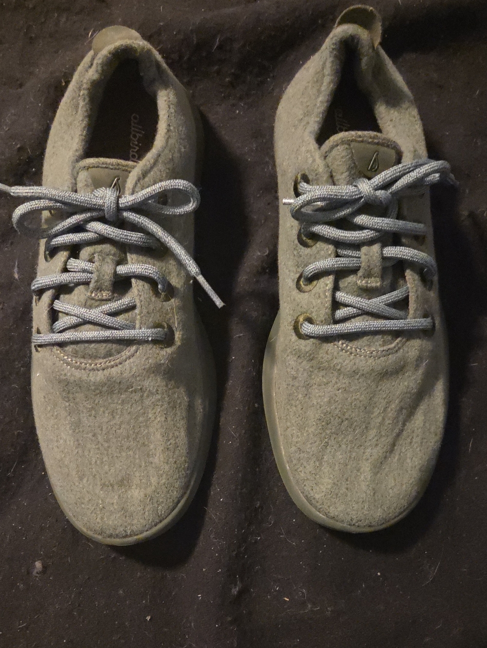 allbirds Wool Runner-Up Sneakers in Olive